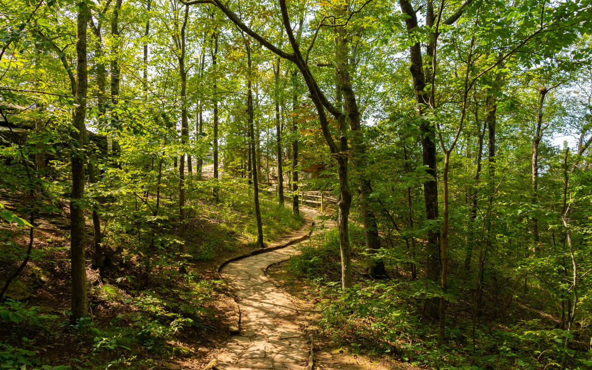 Recreation Around Park Falls, WI: Fishing, Golf, ATVing & More